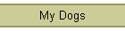 My Dogs
